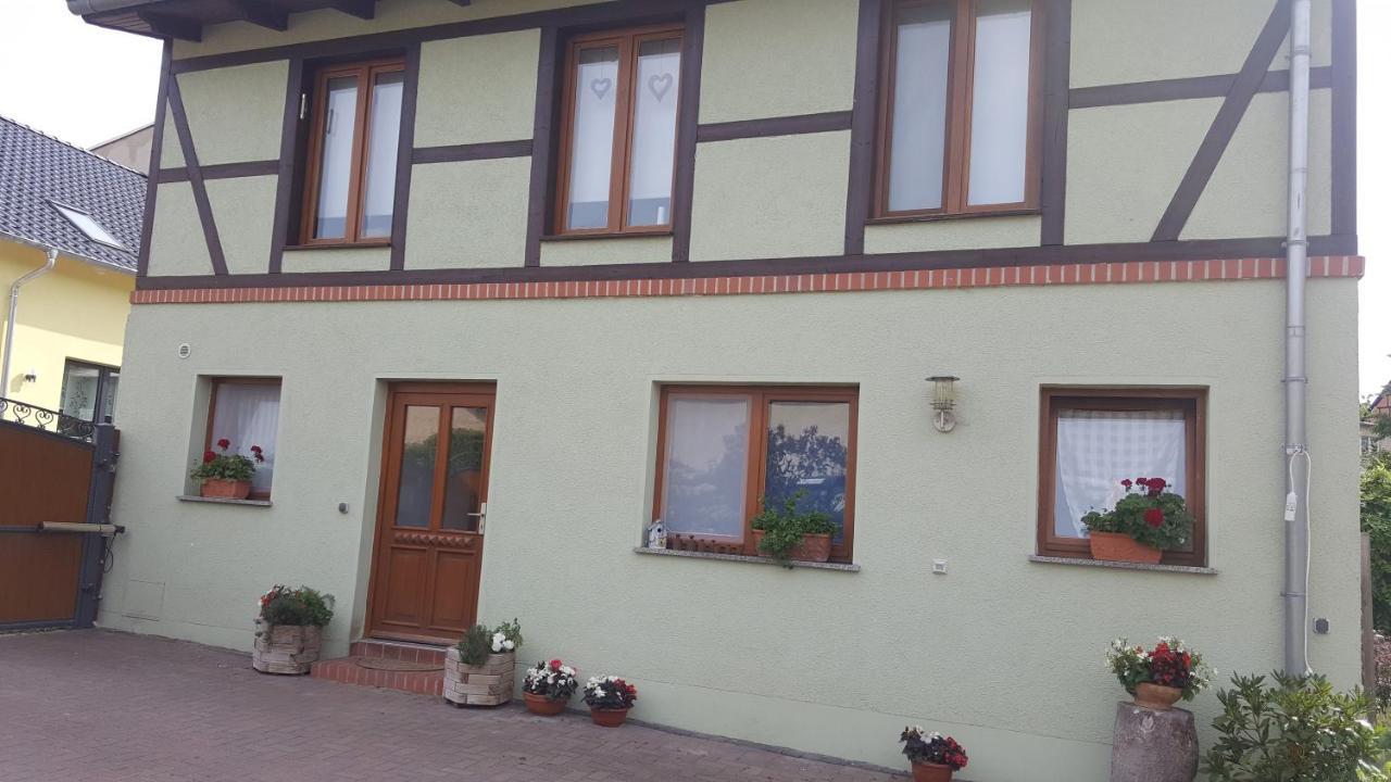 באלנשטאדט Ferienhaus Am Stadtpark מראה חיצוני תמונה